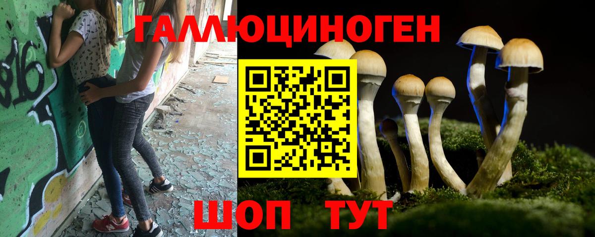 Галлюциногенные грибы Cubensis  Псилоцибиновые грибы мицелий  Баксан  Вход с VPN 